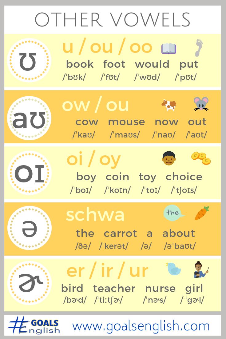 the different types of words that are in english and spanish language, with pictures on them