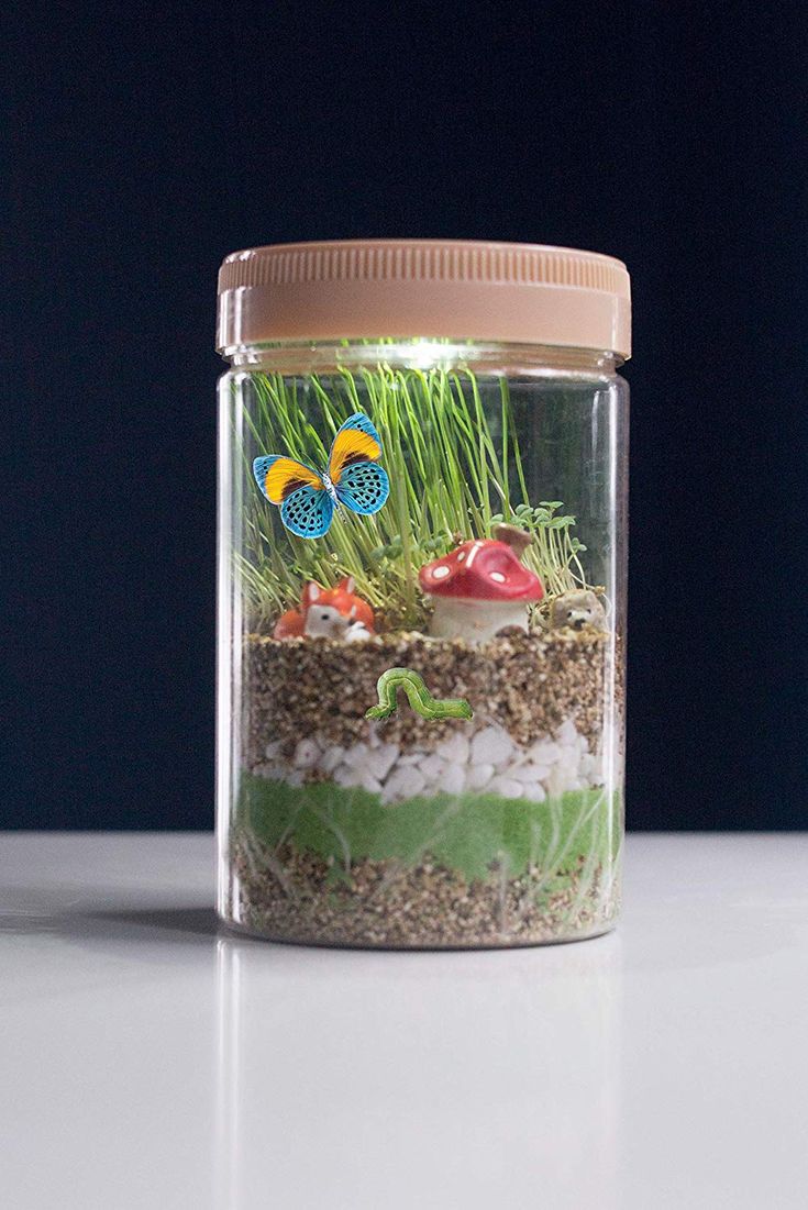 a jar filled with plants and rocks on top of a table