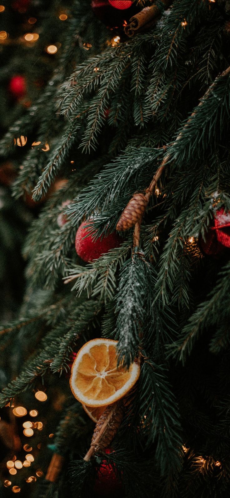 an orange cut in half sitting on top of a christmas tree