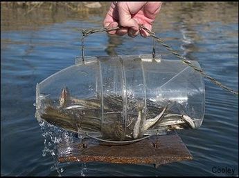 a person is holding a glass bottle that has fish in it while floating on the water