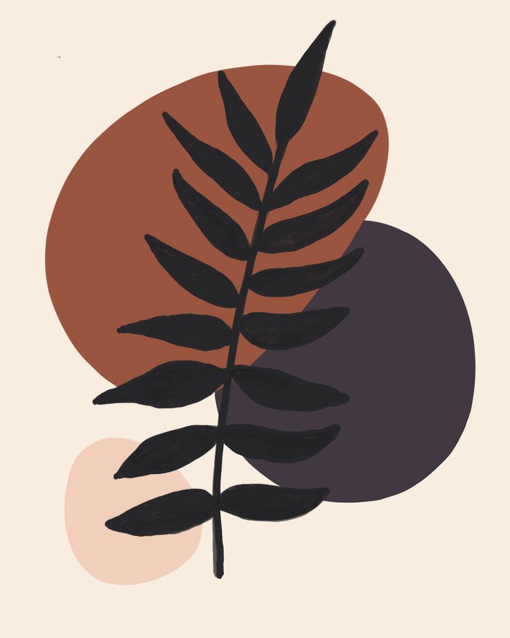 a plant with leaves in front of an orange and black circle on a beige background