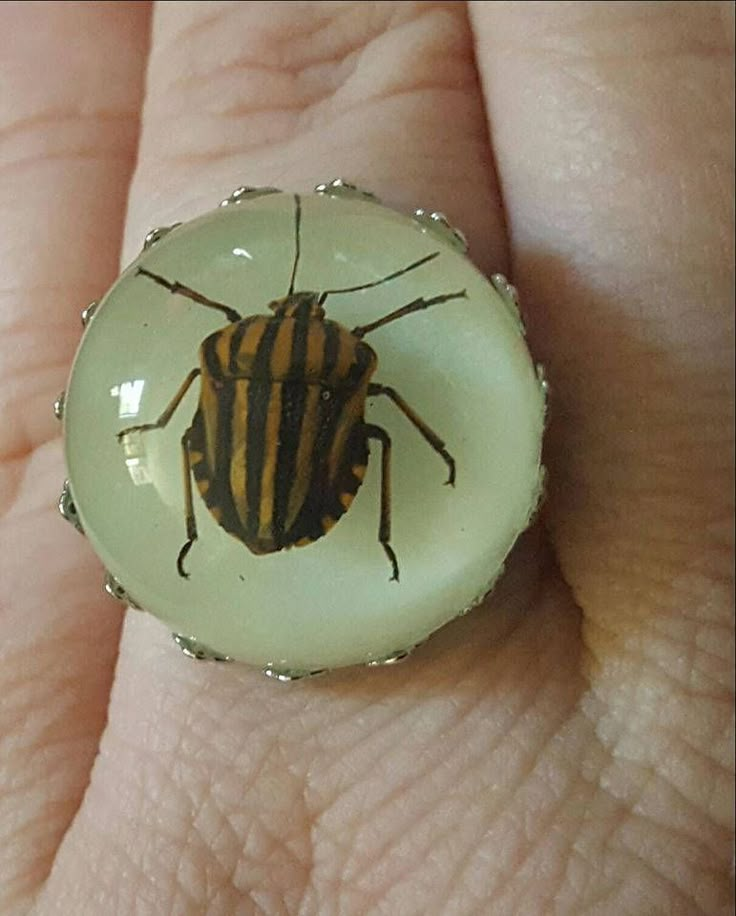 a close up of a person's ring with a beetle on it