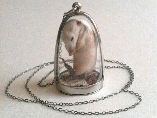 Taxidermy Mouse, Taxidermy Jewelry, Mouse Necklace, Rest Well, Wet Specimen, Taxidermy Art, Vulture Culture, Bone Art, Animal Bones