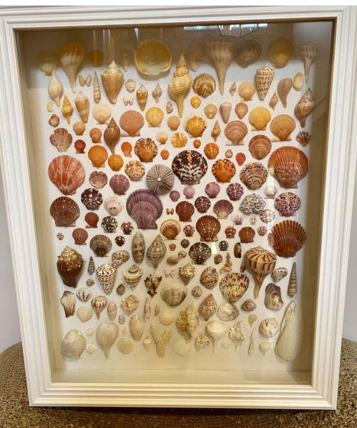 a white frame with shells in it on top of a brown table next to a wall