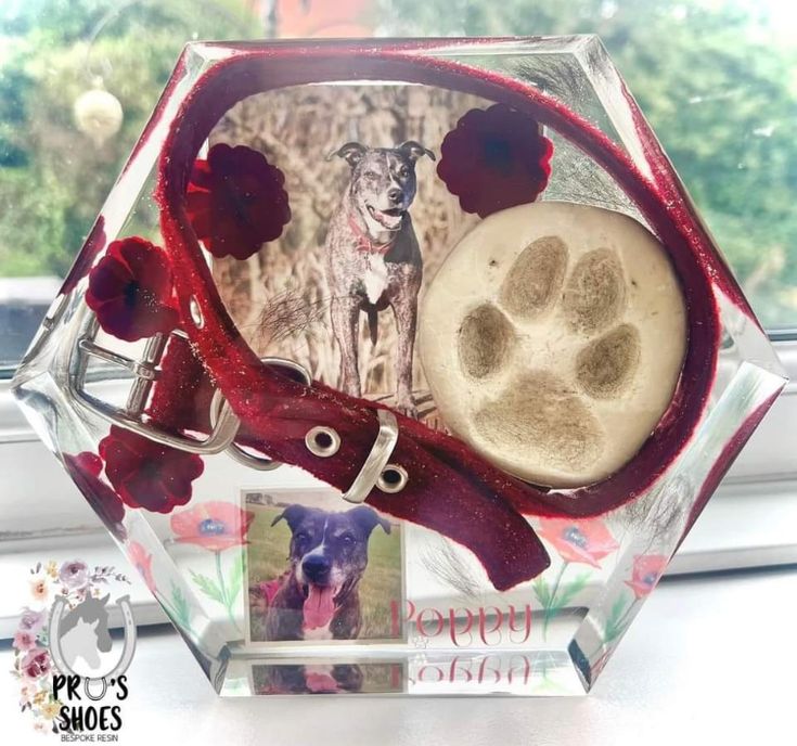 a dog's paw is in the center of a glass box with red ribbon