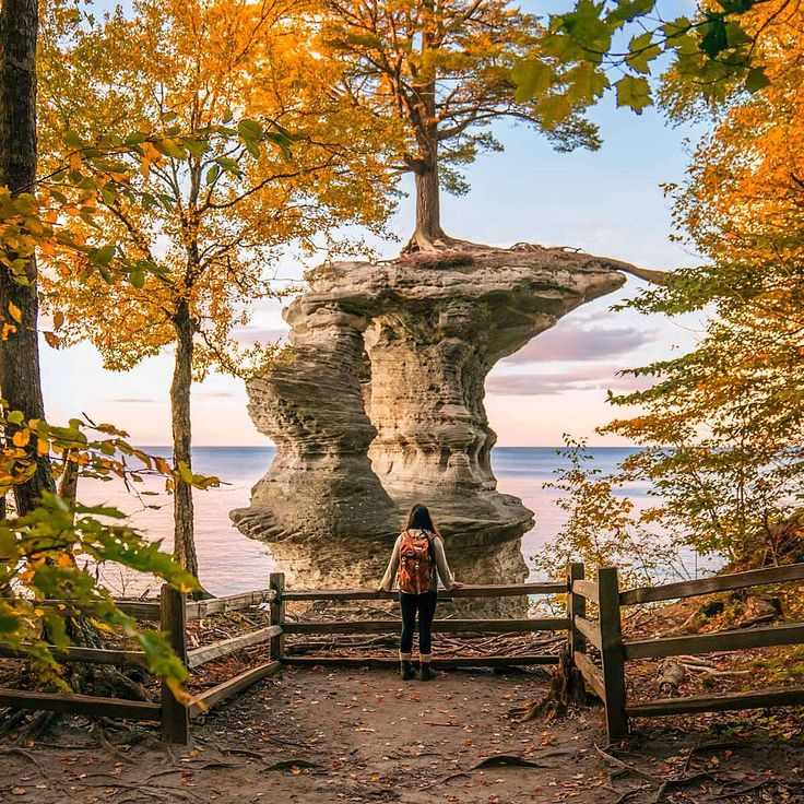 a person standing at the end of a wooden walkway in front of some trees and water