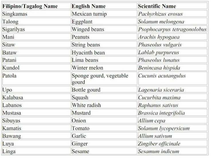 an image of different types of names in english and latin language on a white background