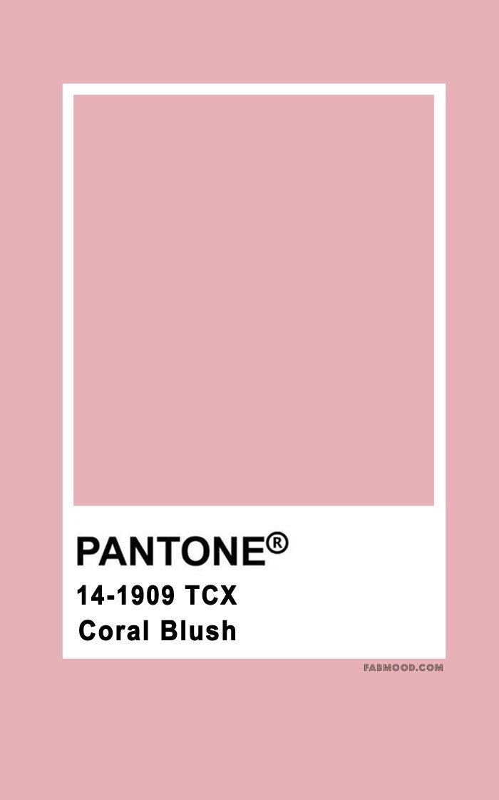 pantone's coral pink color is shown in this graphic style, with the text pan