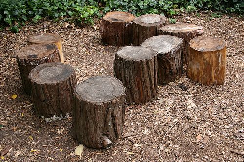 several pieces of wood sitting on the ground in front of some bushes and shrubbery