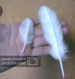 a person holding two white feathers in their hand