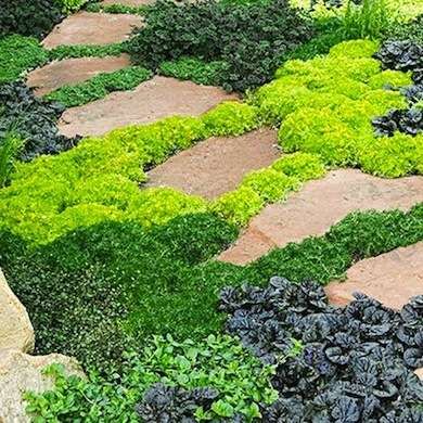 an assortment of plants and rocks in a garden area with red brick pavers walkways