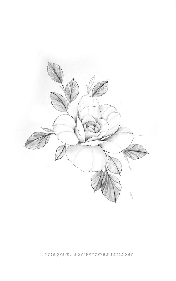 a black and white drawing of a rose