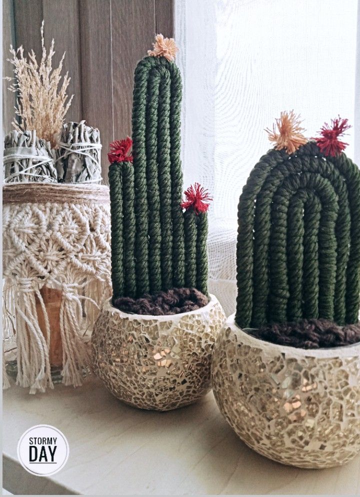 two small cactus plants sitting on top of a table