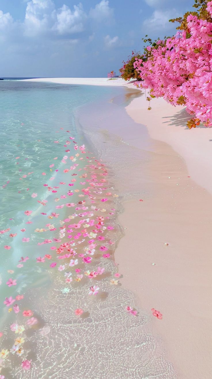 the beach is lined with pink flowers and water