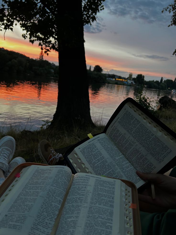 an open book sitting next to a tree