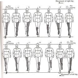 an image of men's body measurements for different types of legs and head shapes