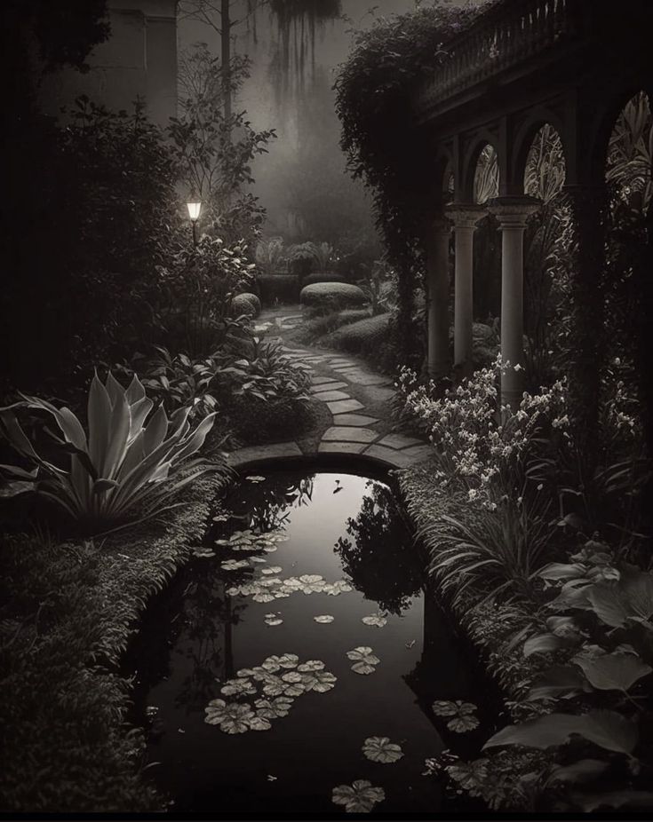 an image of a garden at night with lily pads on the water and lights in the background