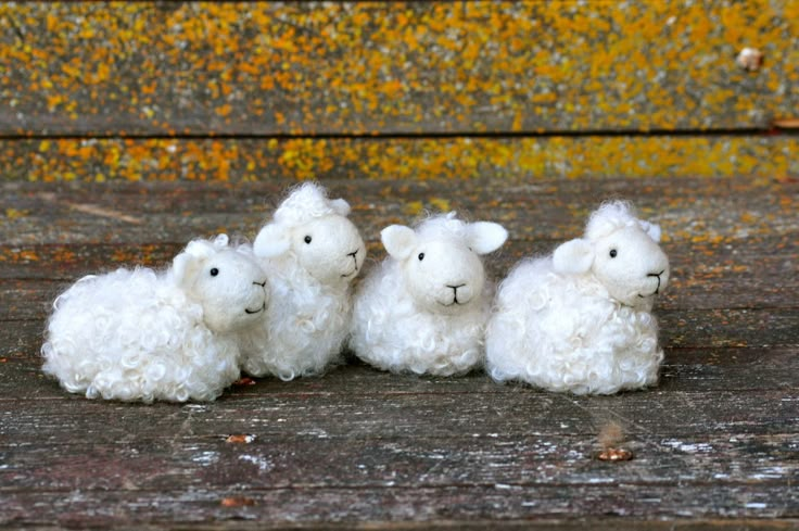 four white sheep sitting next to each other on a wooden surface