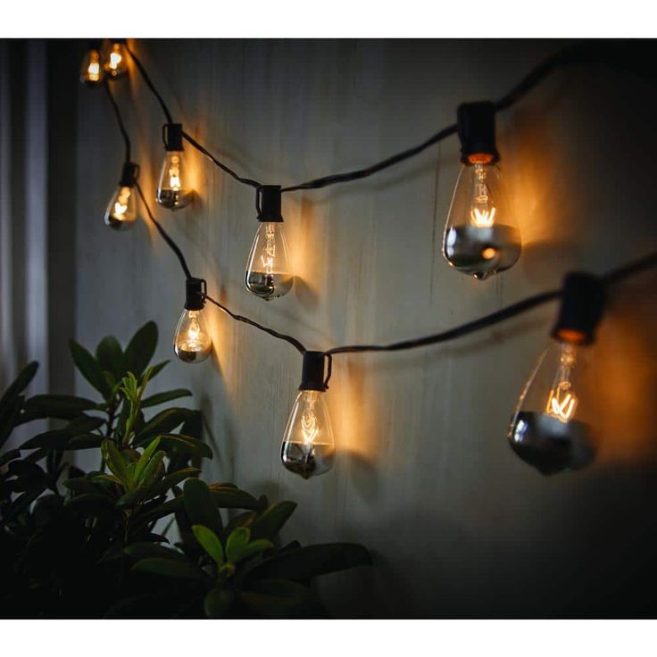 light bulbs are hung on the wall with string lights around them and plants in pots