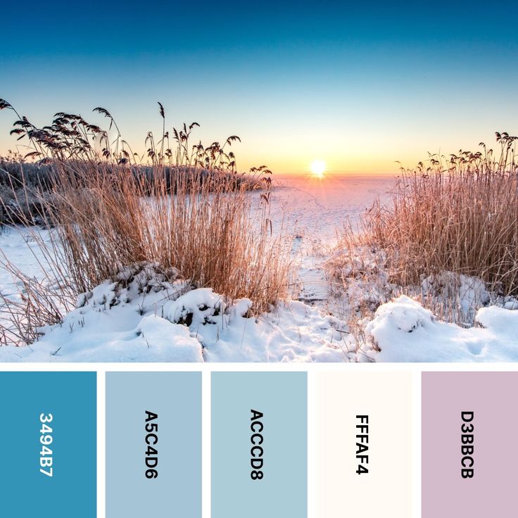 the sun is setting over some snow covered grass and plants in front of a beach