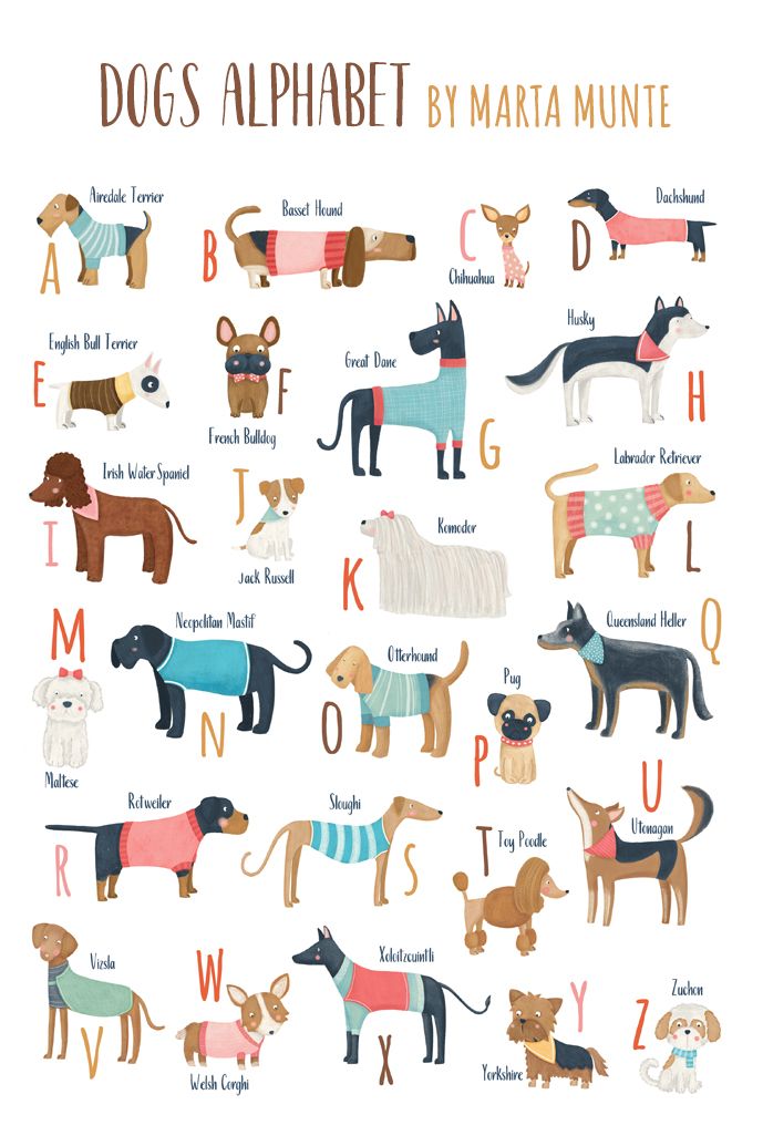 an alphabet poster with dogs in sweaters