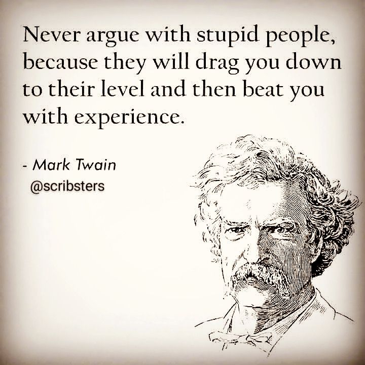 Never argue with a fool. You Cant Argue With Ignorance, People Who Like To Argue, Don't Argue With A Fool, Never Argue With A Fool, Don’t Argue With Fools, Arguing With Fools, Argue Quotes, Arguing Quotes, Fool Quotes