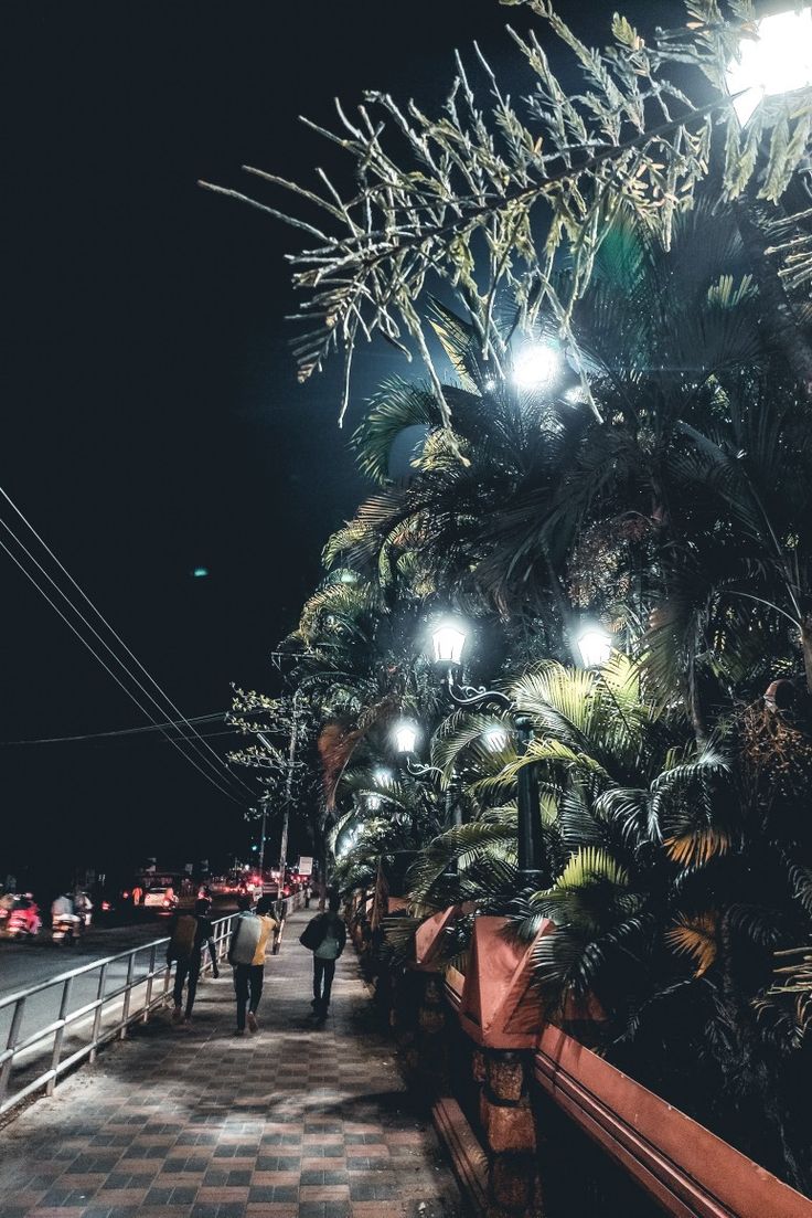 people walking down a walkway at night with lights on and palm trees in the background