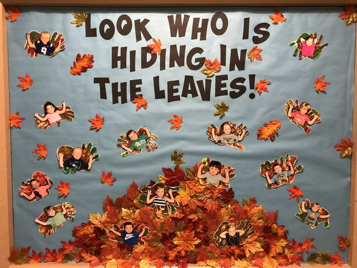 a bulletin board with leaves and pictures on it that says, look who is hiding in the leaves