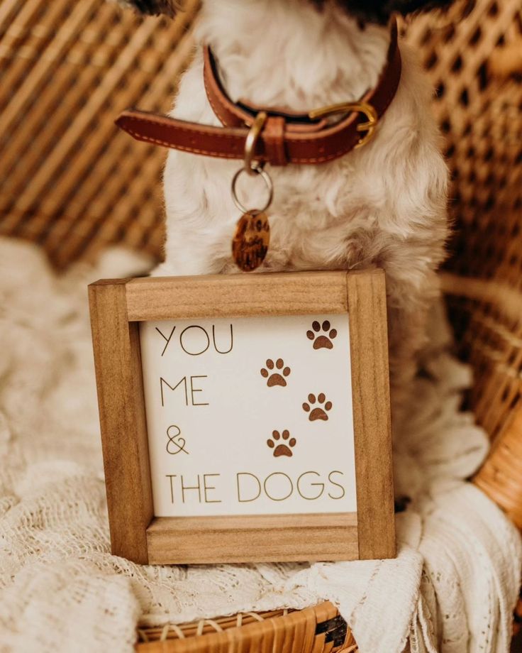 a dog sitting in a wicker basket holding a sign that says you me and the dogs