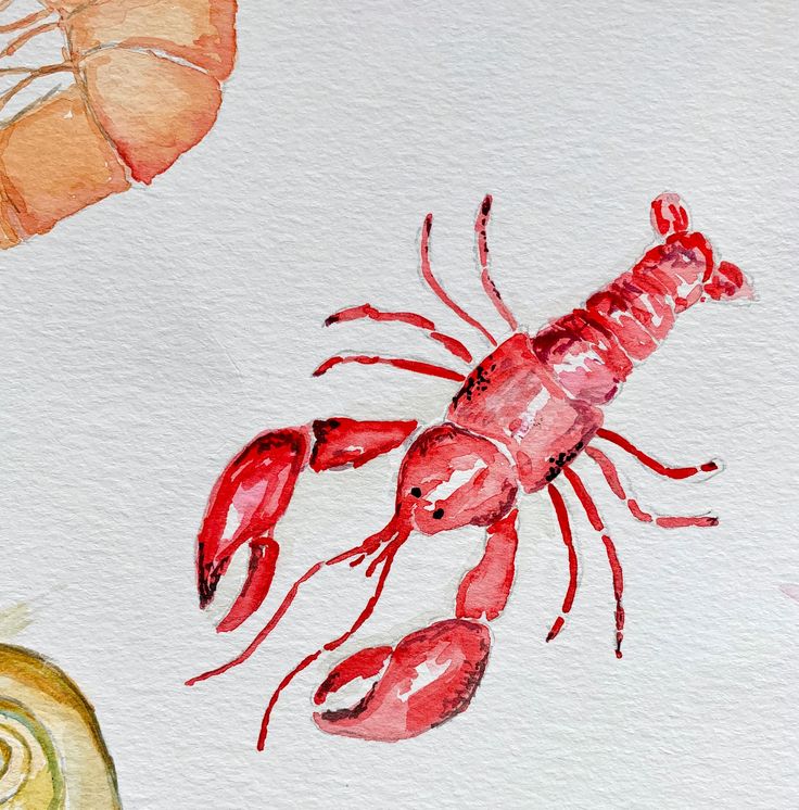 a watercolor painting of a red lobster