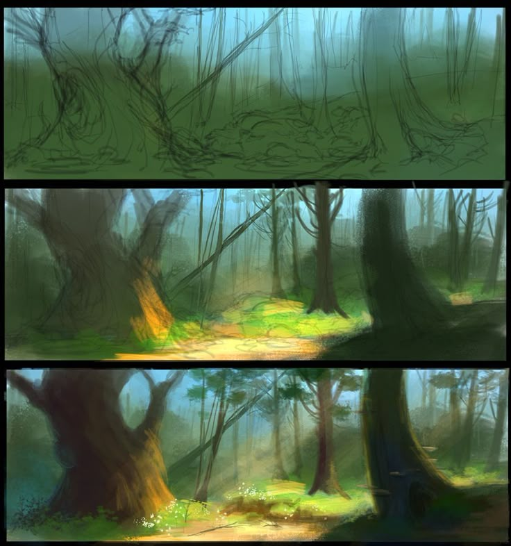 three different views of trees in the woods