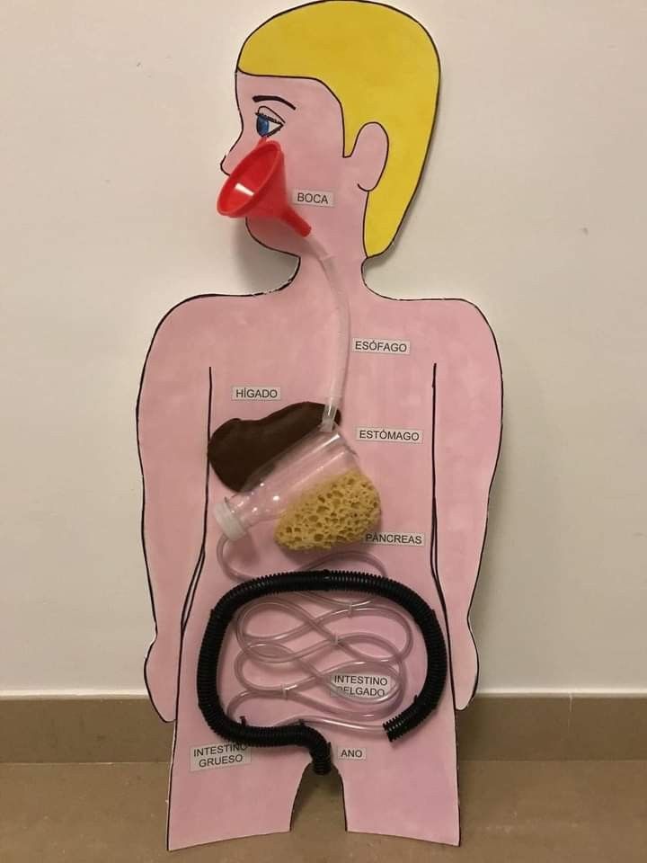 a cardboard cutout of a man with various medical items attached to his torso