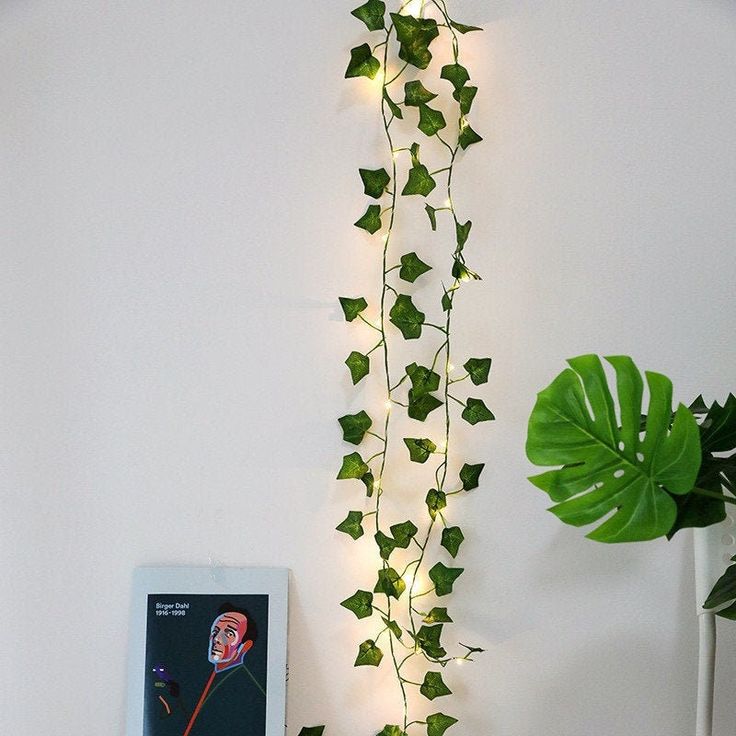 a plant is growing on the wall next to a computer