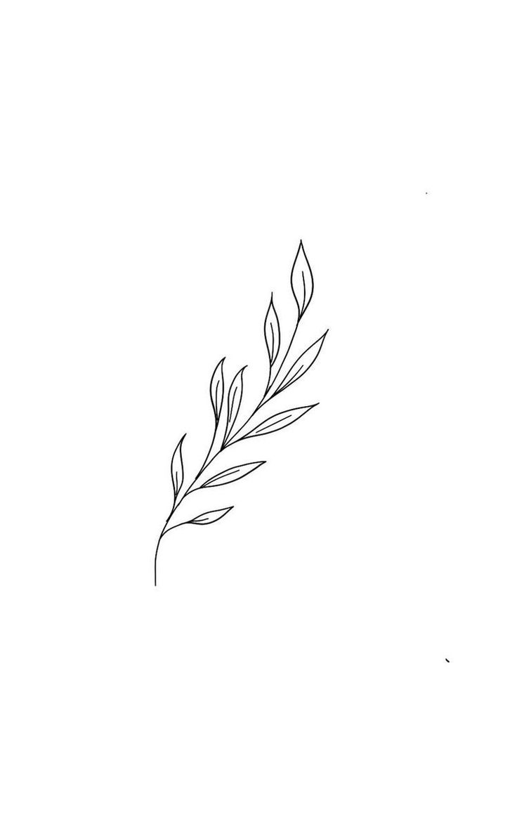 Laurel Tattoo, Olive Tattoo, Olive Branch Tattoo, Wreath Tattoo, Basic Tattoos, Fern Tattoo, Branch Tattoo, Vine Tattoos, Wedding Inspired