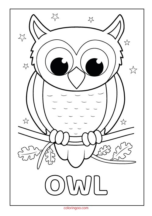 an owl is sitting on a branch with the word owl in it's center