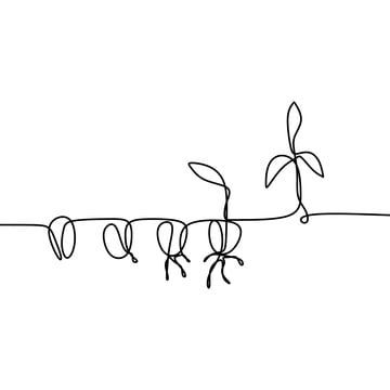 continuous line drawing of three plants on a wire with leaves and stems attached to each other