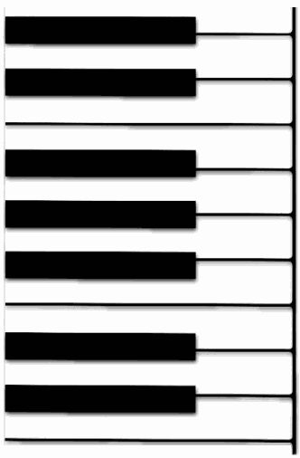 the piano keys are black and white with no lines on them, so they can be seen in different directions