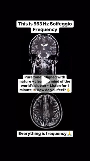 an image of the brain and its functions