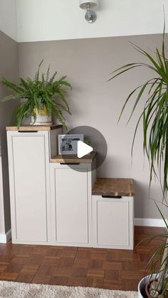 a living room with some plants on top of the cabinets and a tv in the corner