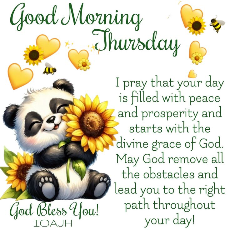 a panda bear holding a sunflower with the words good morning saturday on it's side