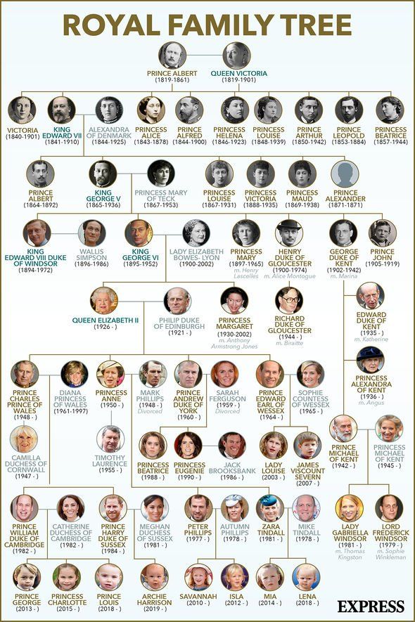 the royal family tree is shown here