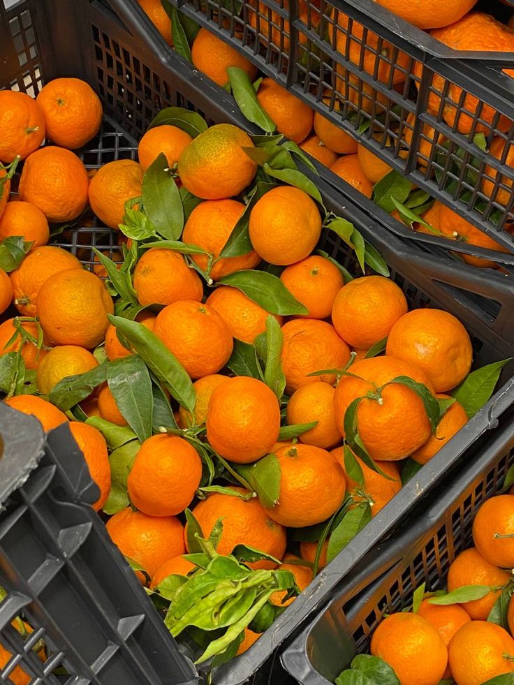 many oranges are piled up in black bins with green leafy leaves on them