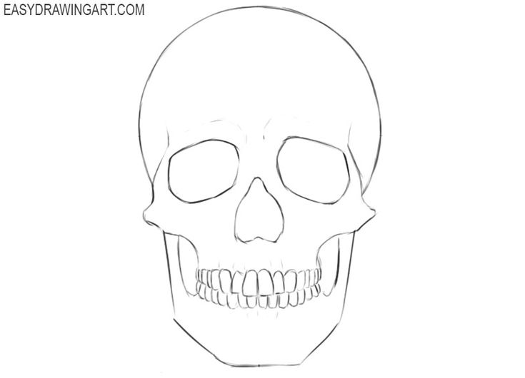 a drawing of a skull with its mouth open