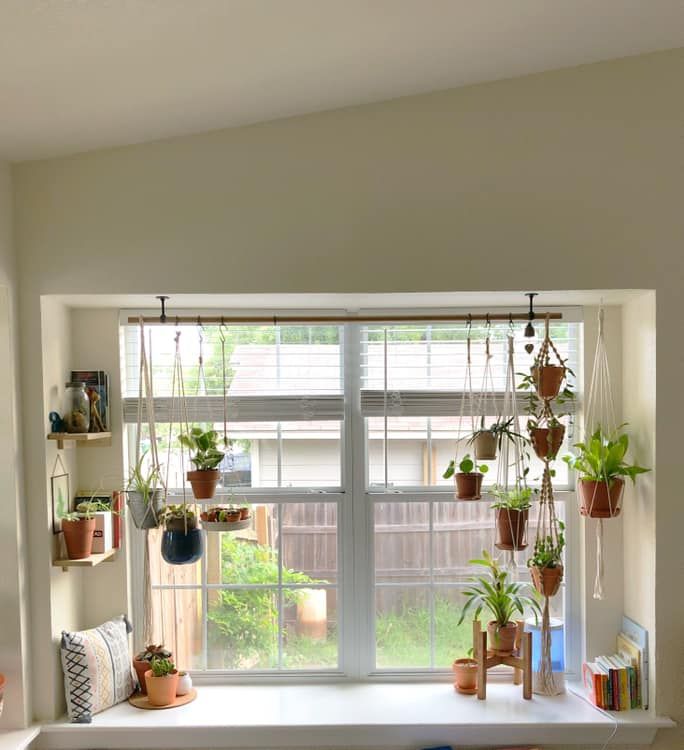 a window with potted plants on the windowsill and bookshelf behind it