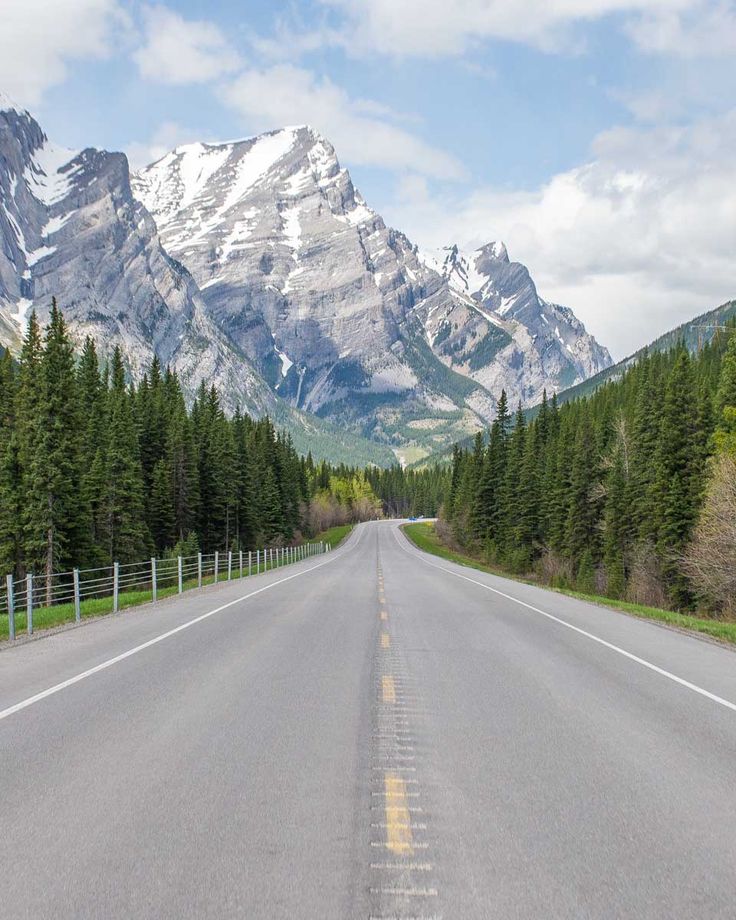 an empty road in the mountains with trees on both sides and snow - capped mountains behind it