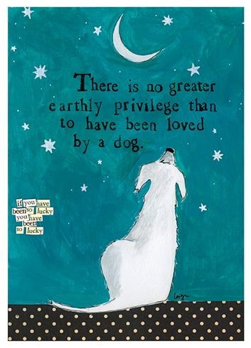 there is no greater earthy privvege than to have been loved by a dog