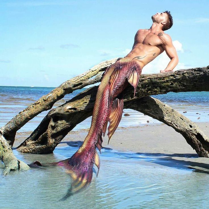 a man is sitting on a tree branch with a fish in his hand while he looks up at the sky