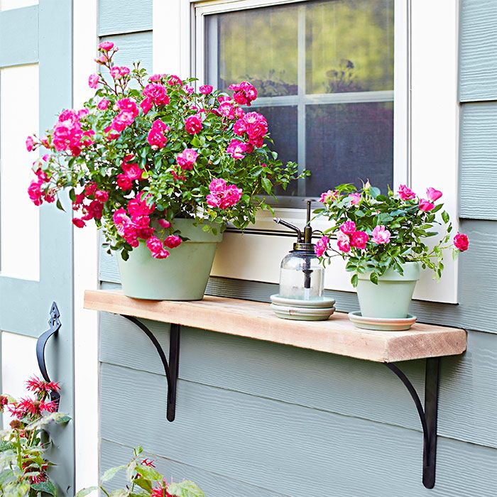 two potted flowers on a window sill in front of a house