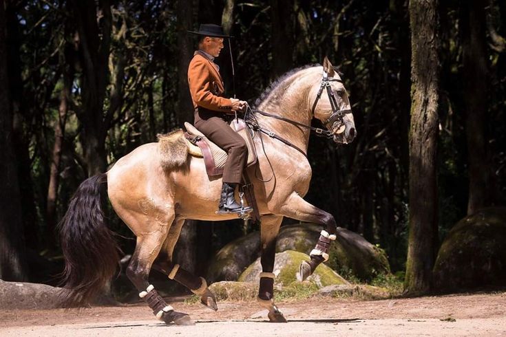 a woman riding on the back of a brown horse in front of some tall trees