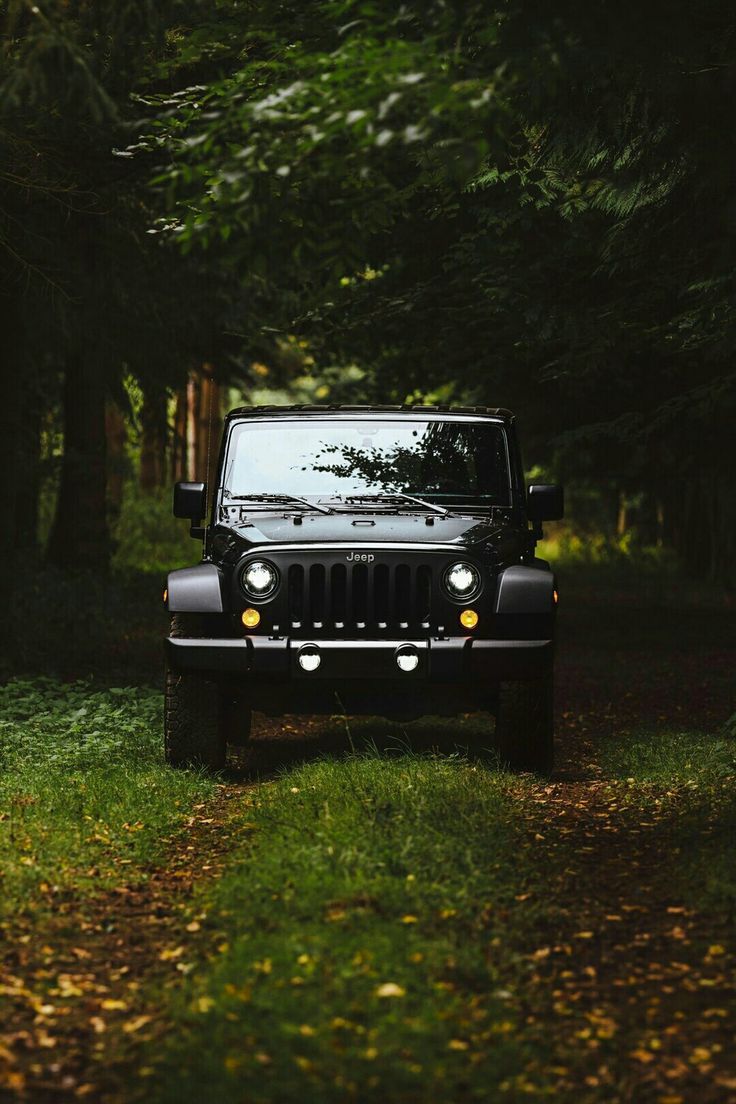 a black jeep parked in the middle of a forest filled with green grass and trees